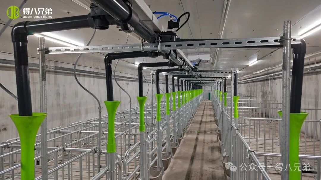 Деба Бразер Лича Демонстрационная база по разведению и выращиванию черных свиней - комплексное производство 2000 свиноматок, 50 000 ежегодных убоев, 67 000 квадратных метров