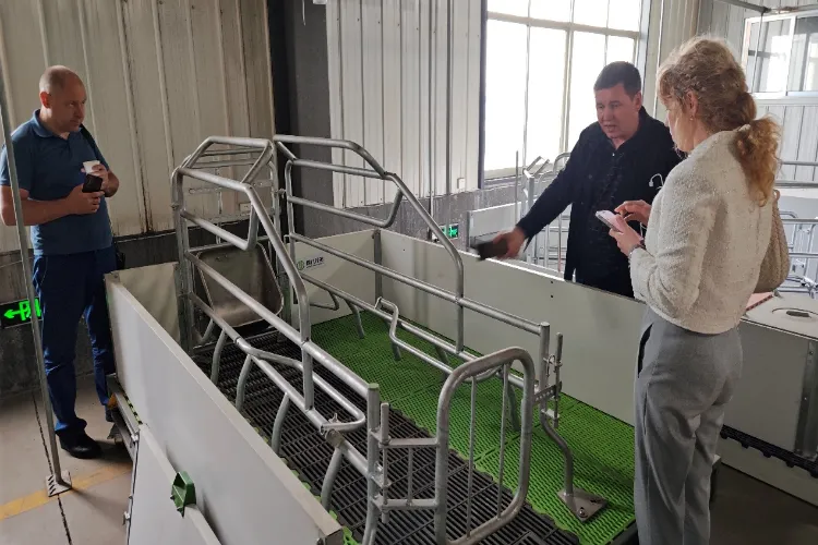 Визиты к восточноевропейским клиентам для предотгрузочной приемочной проверки на месте